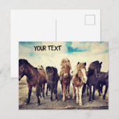 Mooie wilde paarden briefkaart (Voorkant / Achterkant)