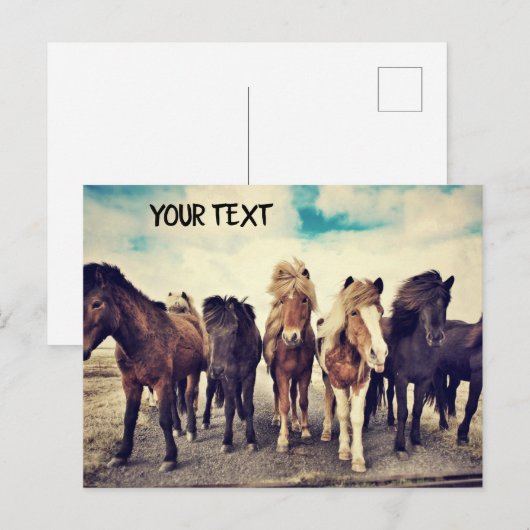 Mooie wilde paarden briefkaart (Voorkant / Achterkant)