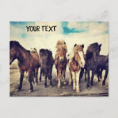 Mooie wilde paarden briefkaart (Voorkant)