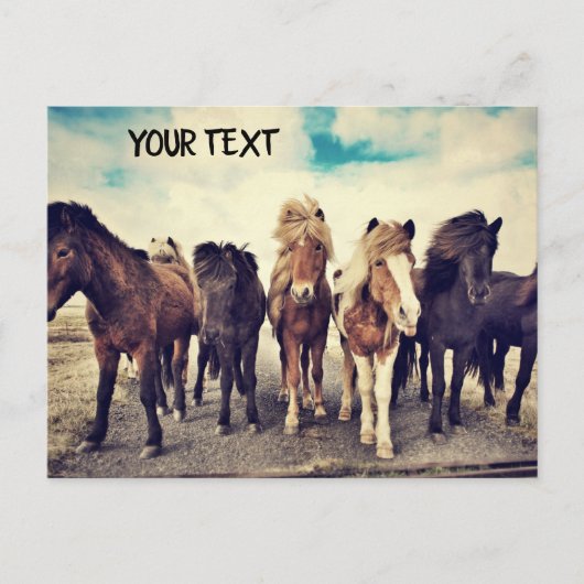 Mooie wilde paarden briefkaart (Voorkant)