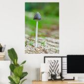Mooie wilde paddenstoel in een herfstveld poster (Thuiskantoor)