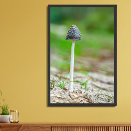 Mooie wilde paddenstoel in een herfstveld poster