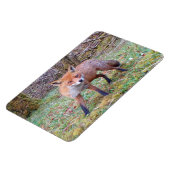 Mooie Wilde Rode Vos Bos Flexi Foto Magneet (Linkerzijde)