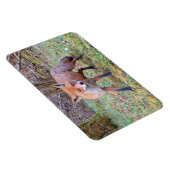 Mooie Wilde Rode Vos Bos Flexi Foto Magneet (Rechterzijde)