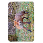 Mooie Wilde Rode Vos Bos Flexi Foto Magneet (Verticaal)