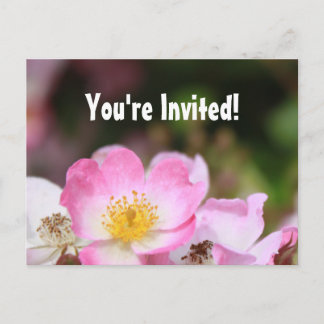mooie wilde roze roos bloemen afstudeerfeest uitnodiging briefkaart