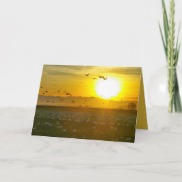 Mooie wilde vogels op zonsondergang, landschap kaart