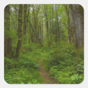 Mooie Wilderness-scène uit Natuur Vierkante Sticker