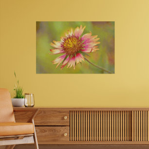 Mooie Wildflower Firewheel Art Poster