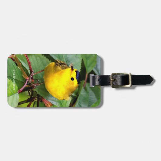 Mooie Wilson's Warbler in de Cherry Tree Bagagelabel (Voorkant horizontaal)