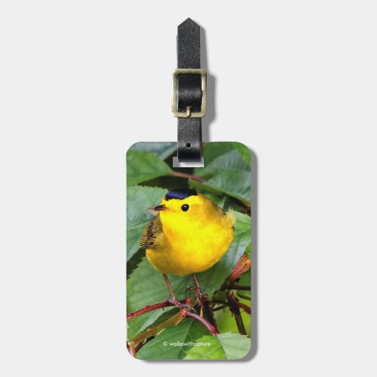 Mooie Wilson's Warbler in de Cherry Tree Bagagelabel (Voorkant verticaal)