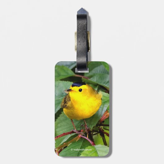 Mooie Wilson's Warbler in de Cherry Tree Bagagelabel (Achterkant verticaal)