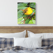 Mooie Wilson's Warbler in de Cherry Tree Canvas Afdruk (Insitu (Slaapkamer))