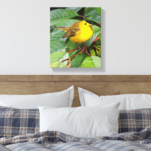 Mooie Wilson's Warbler in de Cherry Tree Canvas Afdruk (Insitu (Slaapkamer))