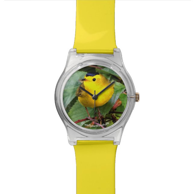 Mooie Wilson's Warbler in de Cherry Tree Horloge (Close Up)