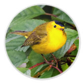 Mooie Wilson's Warbler in de Cherry Tree Keramische Knop (Voorkant)