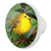 Mooie Wilson's Warbler in de Cherry Tree Keramische Knop (Rechts)