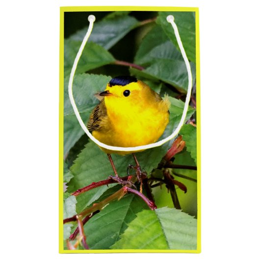 Mooie Wilson's Warbler in de Cherry Tree Klein Cadeauzakje (Achterkant)