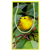 Mooie Wilson's Warbler in de Cherry Tree Klein Cadeauzakje (Voorkant)