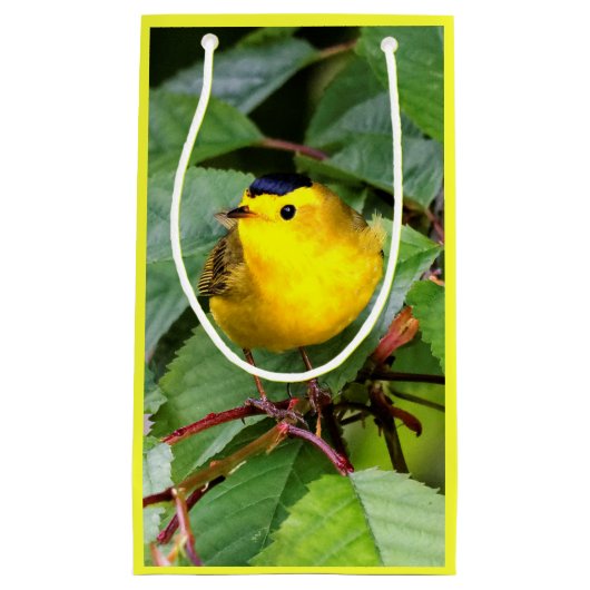 Mooie Wilson's Warbler in de Cherry Tree Klein Cadeauzakje (Voorkant)