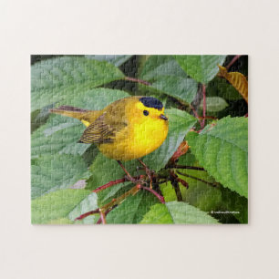 Mooie Wilson's Warbler in de Cherry Tree Legpuzzel