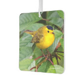 Mooie Wilson's Warbler in de Cherry Tree Luchtverfrisser (Links)