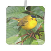 Mooie Wilson's Warbler in de Cherry Tree Luchtverfrisser (Achterkant)