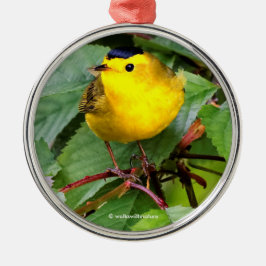 Mooie Wilson's Warbler in de Cherry Tree Metalen Ornament