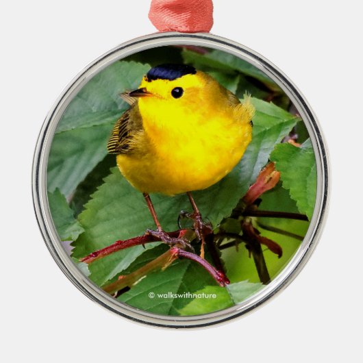 Mooie Wilson's Warbler in de Cherry Tree Metalen Ornament (Voorkant)