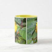 Mooie Wilson's Warbler in de Cherry Tree Mok (Midden)