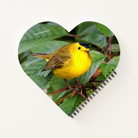 Mooie Wilson's Warbler in de Cherry Tree Notitieboek (Achterkant)