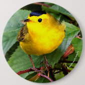 Mooie Wilson's Warbler in de Cherry Tree Ronde Button 6,0 Cm (Voorkant)