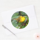 Mooie Wilson's Warbler in de Cherry Tree Ronde Sticker (Envelop)