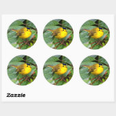 Mooie Wilson's Warbler in de Cherry Tree Ronde Sticker (Vel)