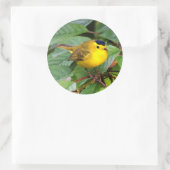 Mooie Wilson's Warbler in de Cherry Tree Ronde Sticker (Tas)