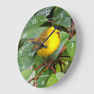 Mooie Wilson's Warbler Songbird in Cherry Tree Grote Klok