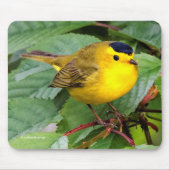 Mooie Wilson's Warbler Songbird in Cherry Tree Muismat (Voorkant)
