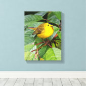 Mooie Wilsons Zanger in de Kersenboom Canvas Afdruk (Insitu (Houten vloer))