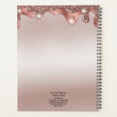 Mooie wimpers ogen roos gouden druppels make-up gi planner (Achterkant)