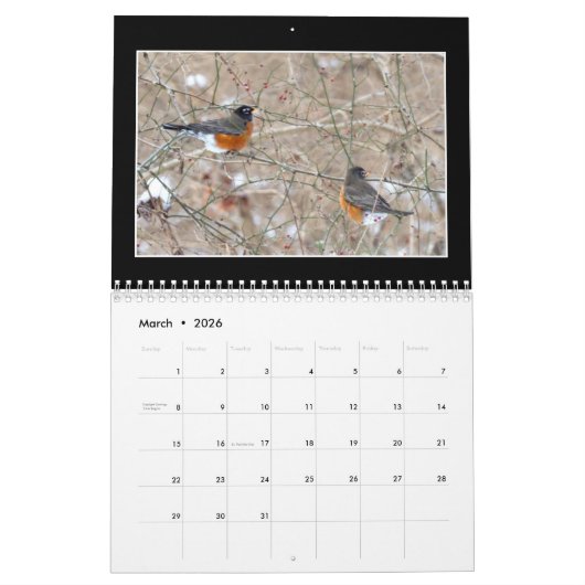 Mooie Winterkalender 2020 van Tom Minutolo Kalender (Mar 2026)