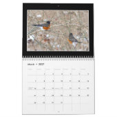 Mooie Winterkalender 2020 van Tom Minutolo Kalender (Mar 2027)