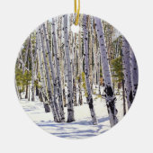 Mooie wintersporingen in de lagstaff Arizona Keramisch Ornament (Voorkant)