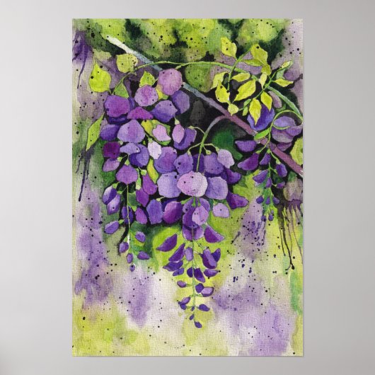 Mooie wisterbloemen in de Waterverf Poster (Voorkant)