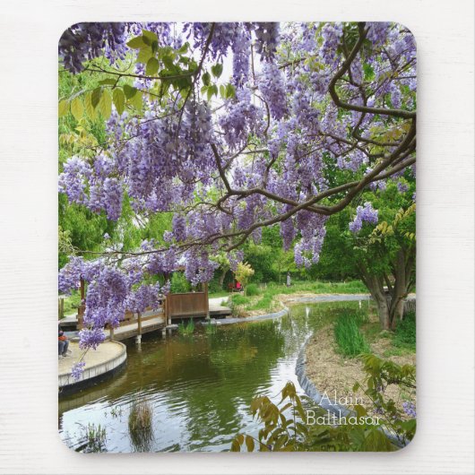 Mooie Wisteria-bloemen Muismat (Voorkant)