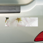 Mooie Wit Bumpersticker (Op auto)