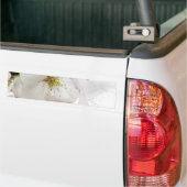 Mooie Wit Bumpersticker (Op Truck)