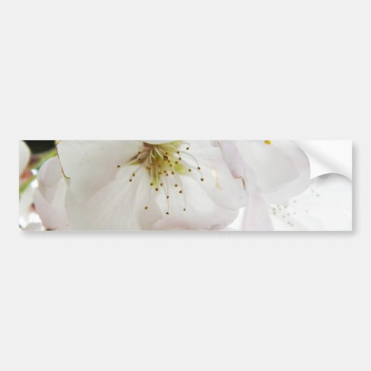 Mooie Wit Bumpersticker (Voorkant)