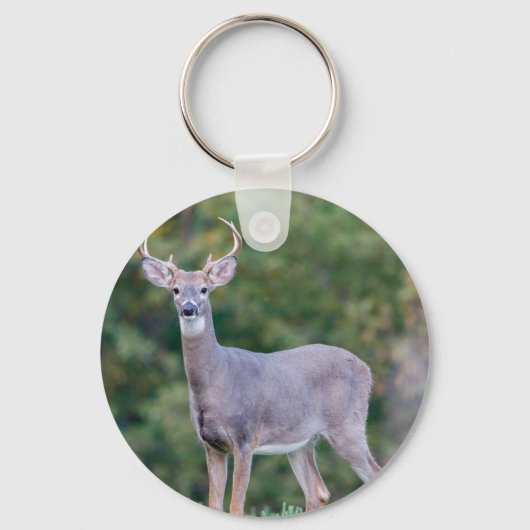 Mooie witstaartsloppenwijder in het veld sleutelhanger (Voorkant)