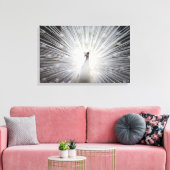 Mooie witte albino verenkleed van een pauw canvas afdruk (Insitu (Woonkamer))