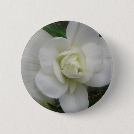 Mooie witte anjer Button (Voorkant)